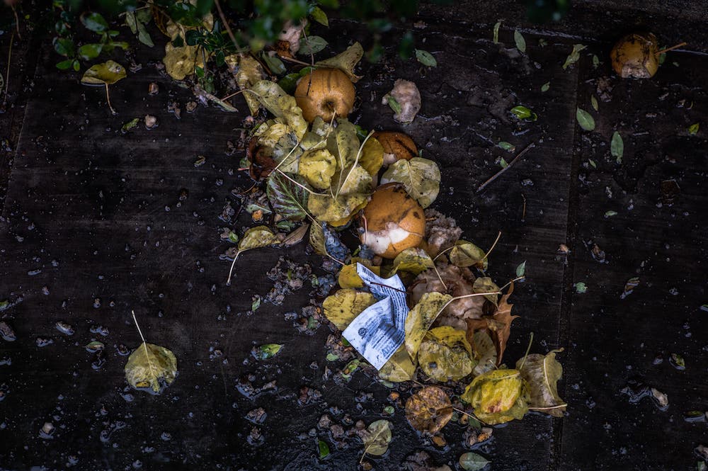 compost farming