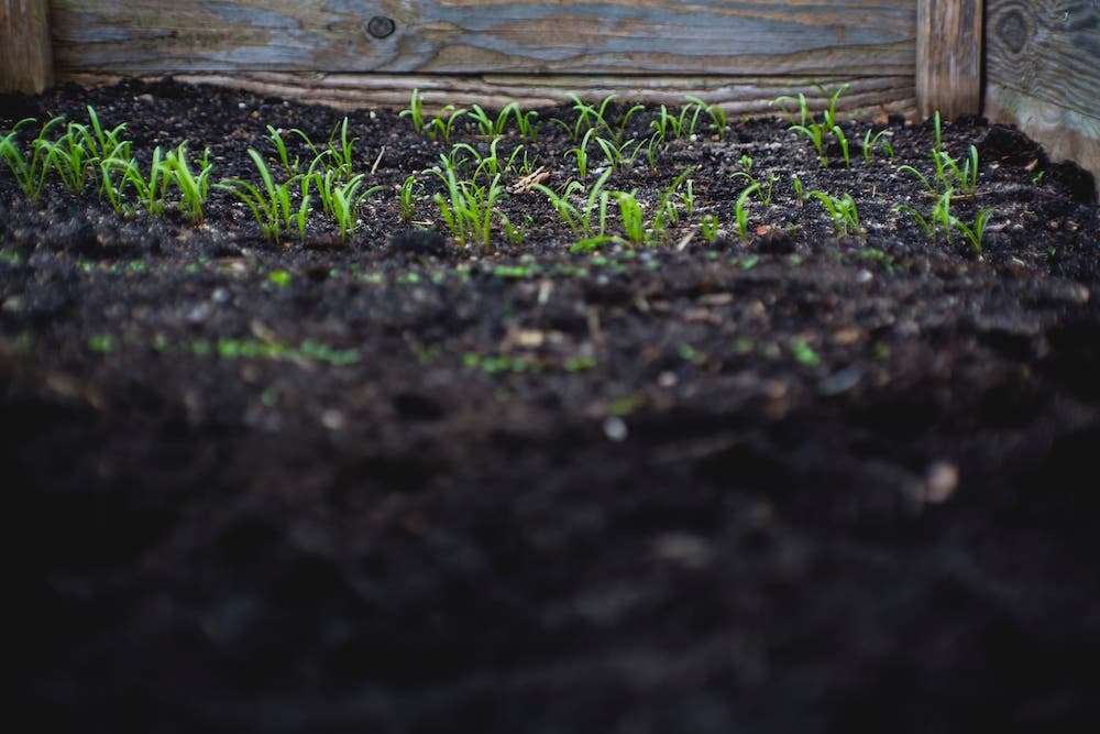 compost agriculture