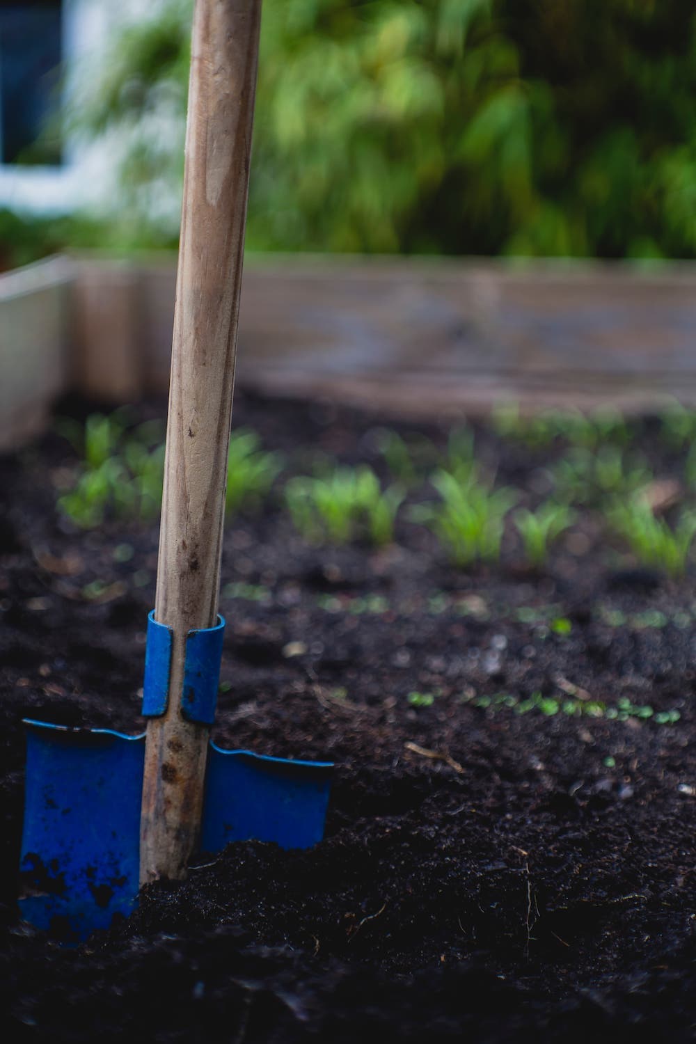 how to make worm farm compost