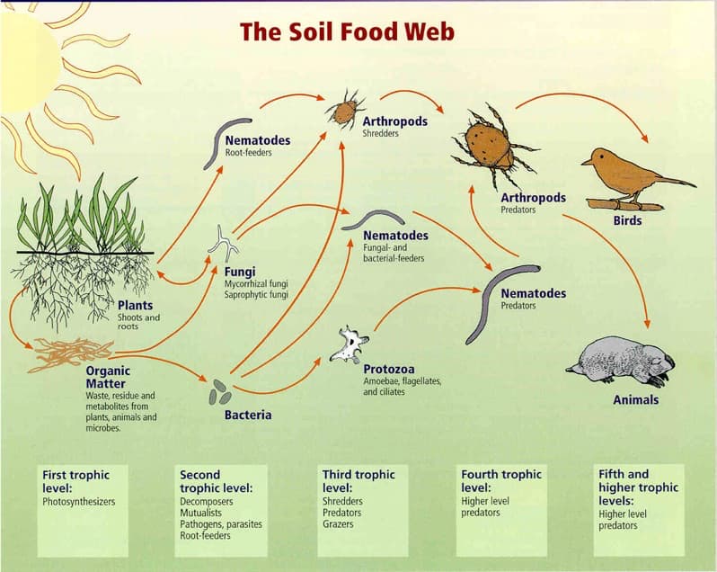 compost manufacturing companies