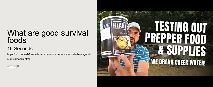 what are good survival foods