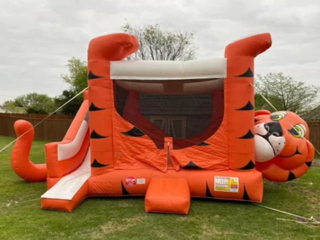 Houston TX Themed Bounce House Rentals