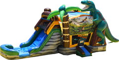 Water Slide Rentals in Dallas