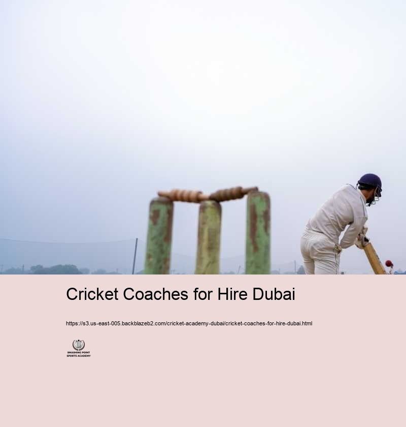 Cricket Coaches for Hire Dubai