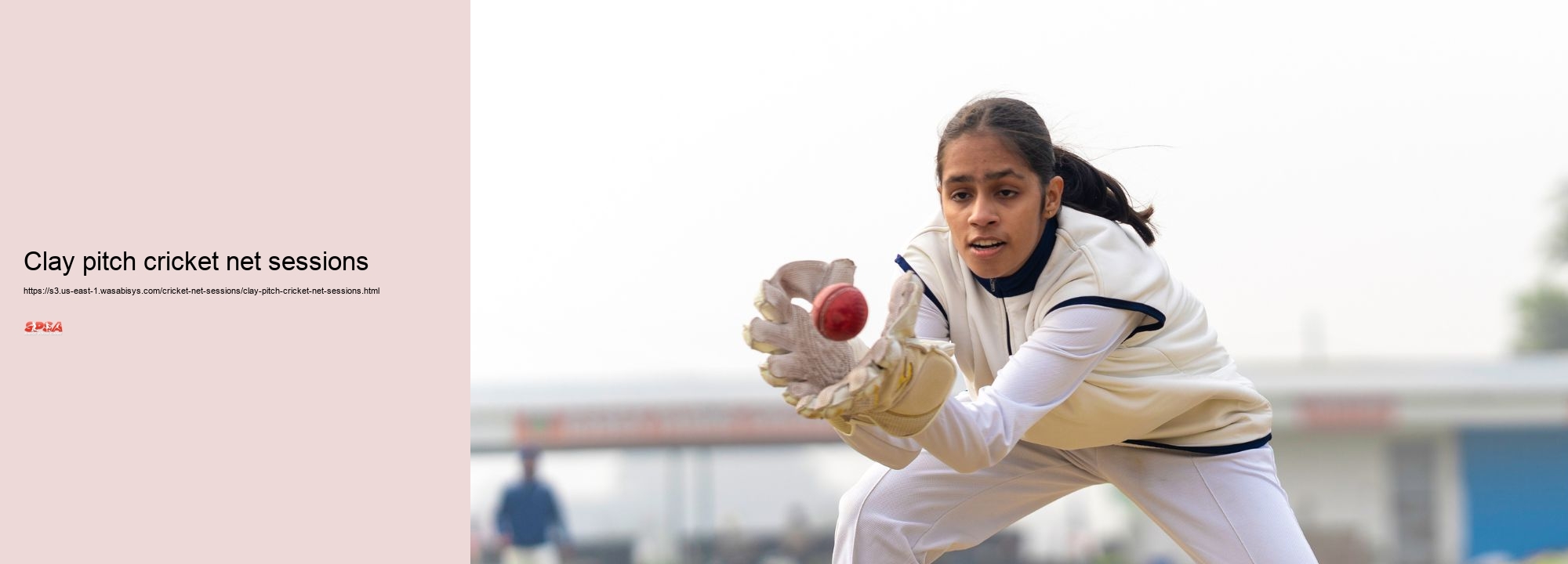 Clay pitch cricket net sessions