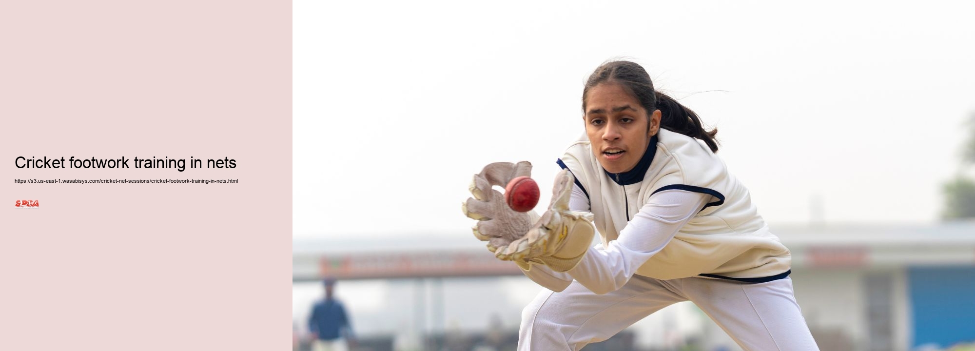 Cricket footwork training in nets