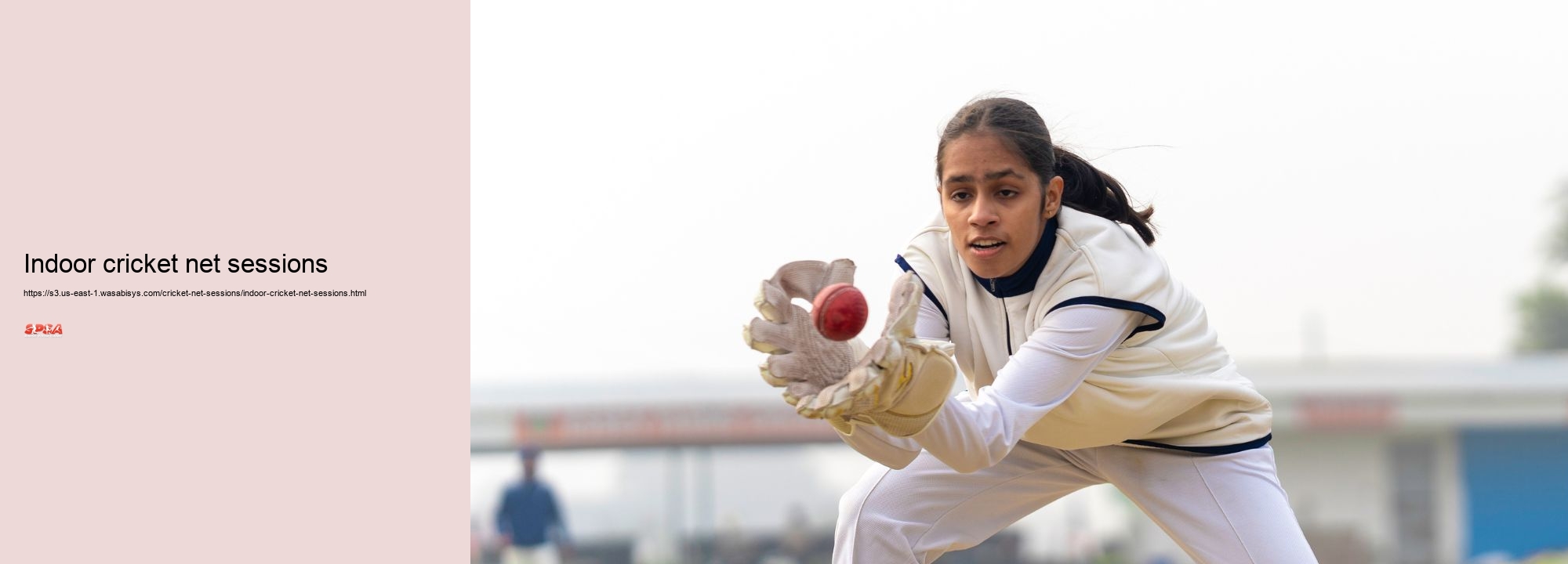 Indoor cricket net sessions