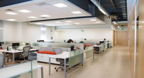 Professional Cleaning Service In Chicago
