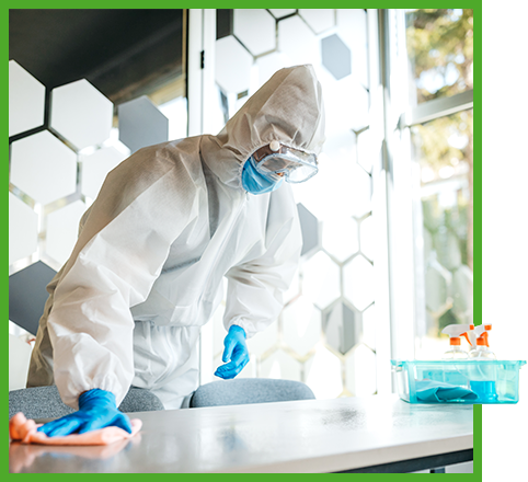 Cleaning Services In Chicago