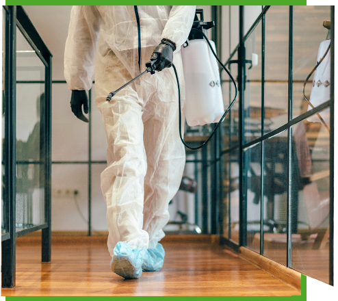 Cleaning Services Near Me