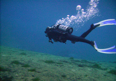 Dive Charters