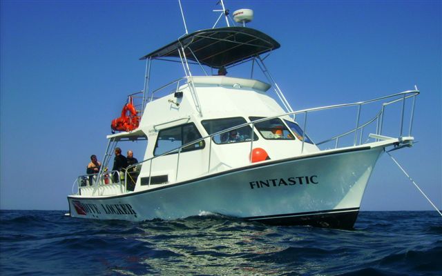 Scuba Diving Fins