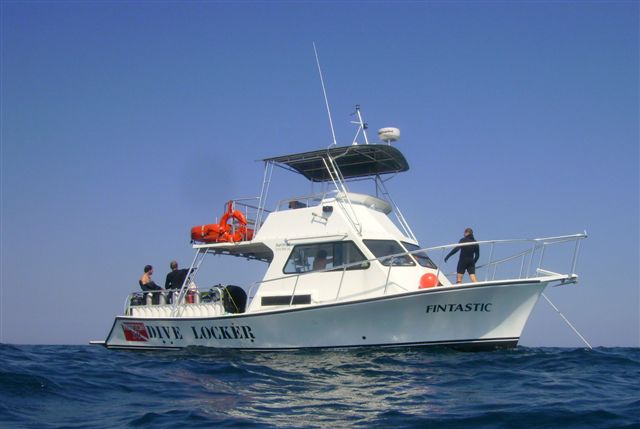 Facts About Scuba Diving