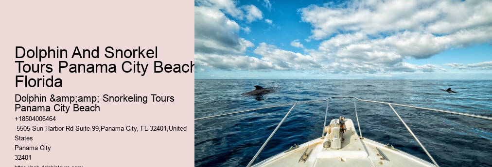 Snorkeling Tours In Panama City Beach Fl