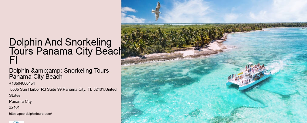Dolphin & Snorkeling Tours Panama City Beach