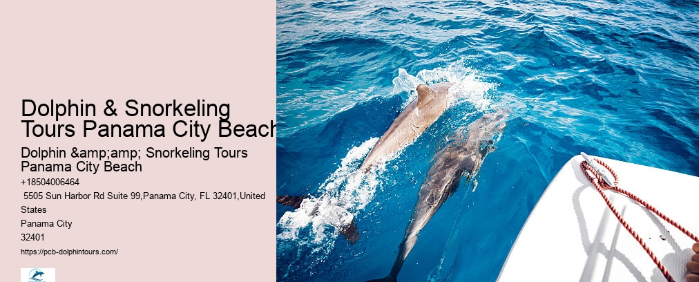 Snorkeling Tours Panama City Beach