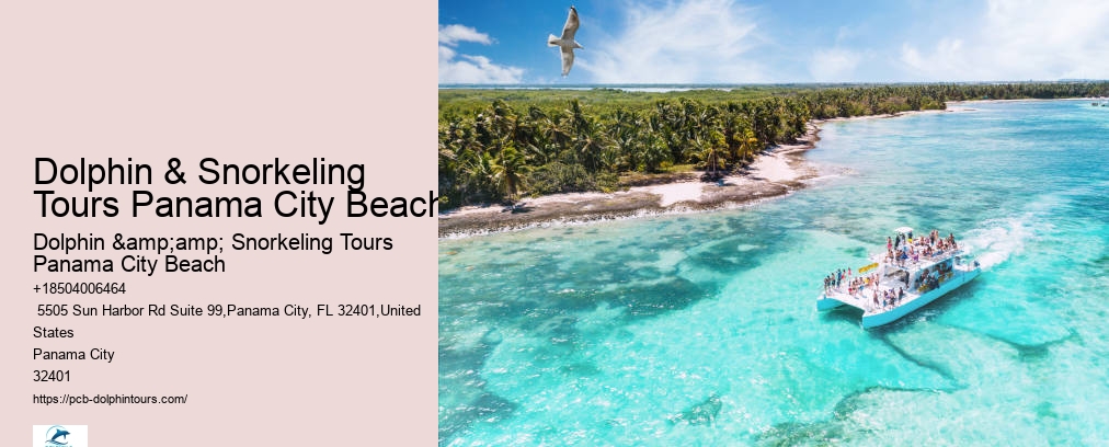 Shell Island Snorkel Cruise