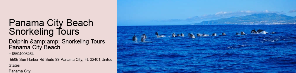 Dolphin And Snorkel Tours Panama City Beach