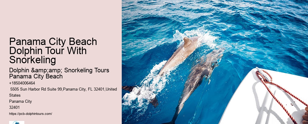 Dolphin & Snorkeling Tours Panama City Beach