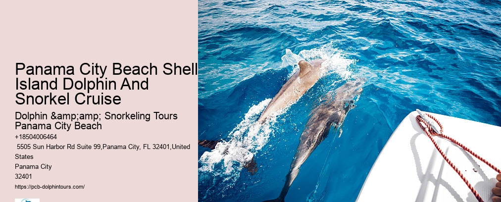 Dolphin And Snorkel Tours Panama City Beach Florida
