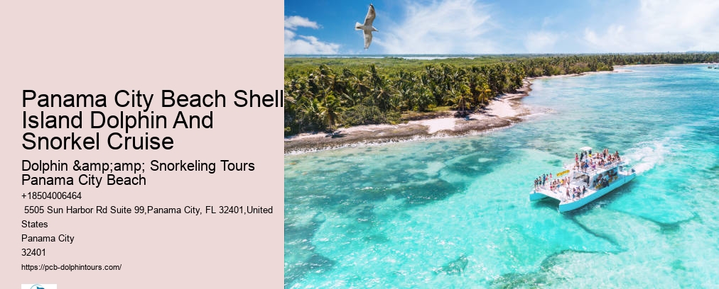 Dolphin And Snorkeling Tours Panama City Beach Fl