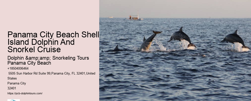 Dolphin & Snorkeling Tours Panama City Beach