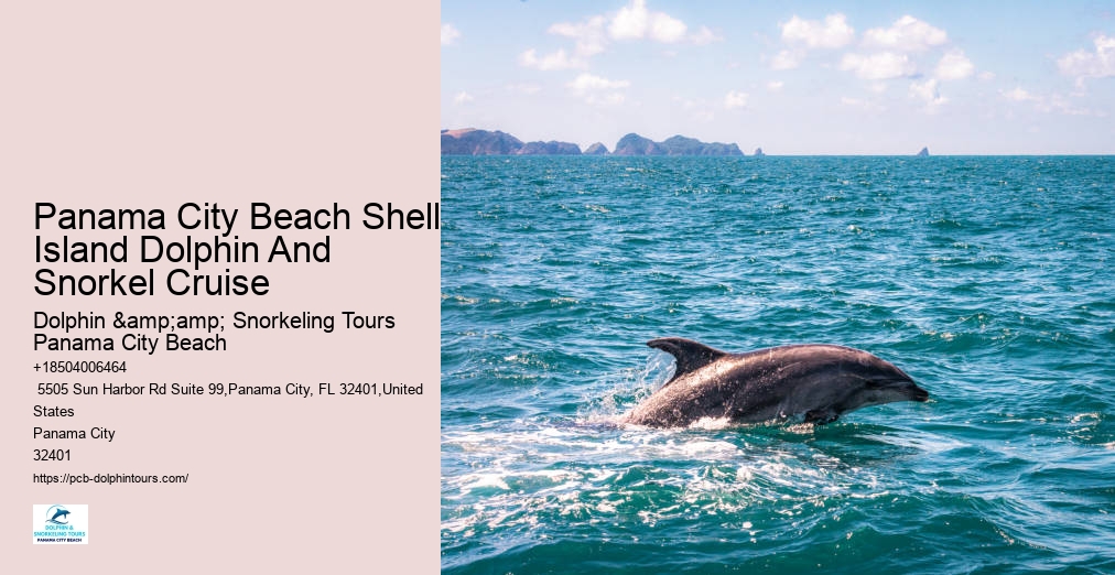 Panama City Beach Dolphin Tour With Snorkeling