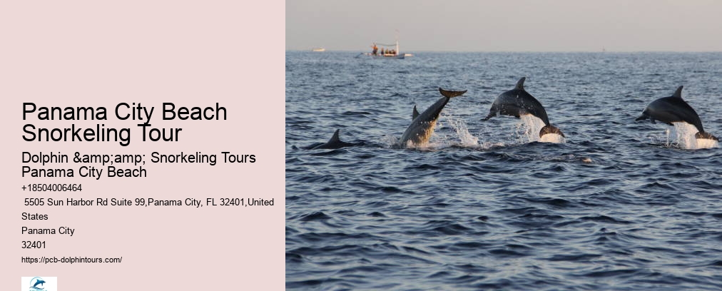 Shell Island Snorkel Cruise