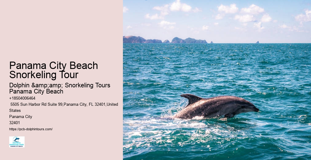 Snorkeling Trips Panama City Beach