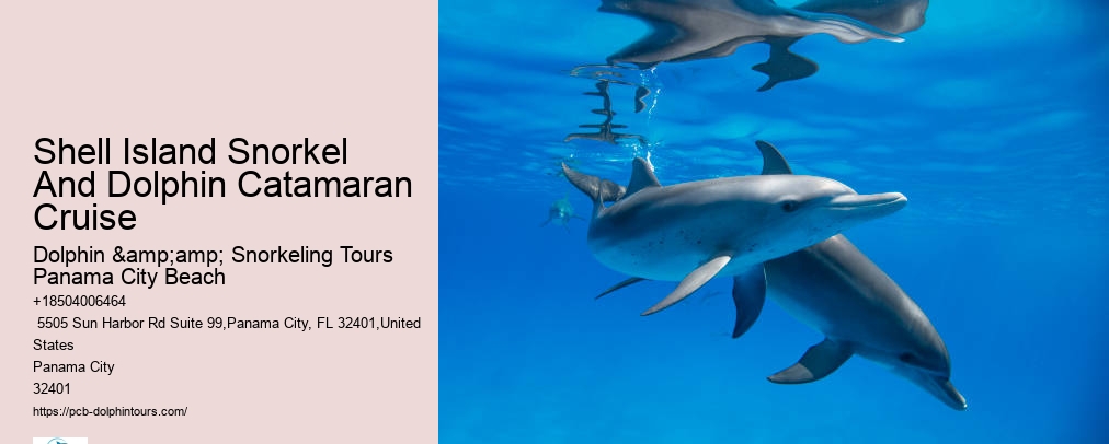 Panama City Beach Shell Island Dolphin And Snorkel Cruise