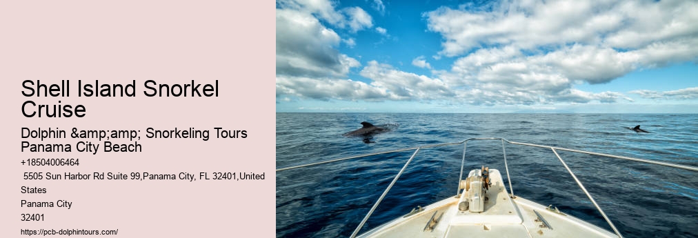 Shell Island Snorkel And Dolphin Catamaran Cruise