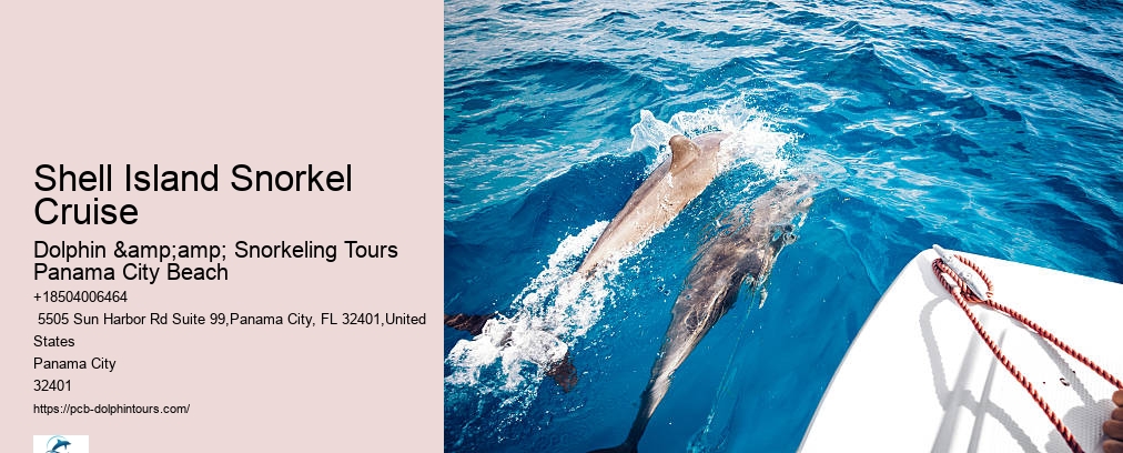 Snorkeling Trips Panama City Beach