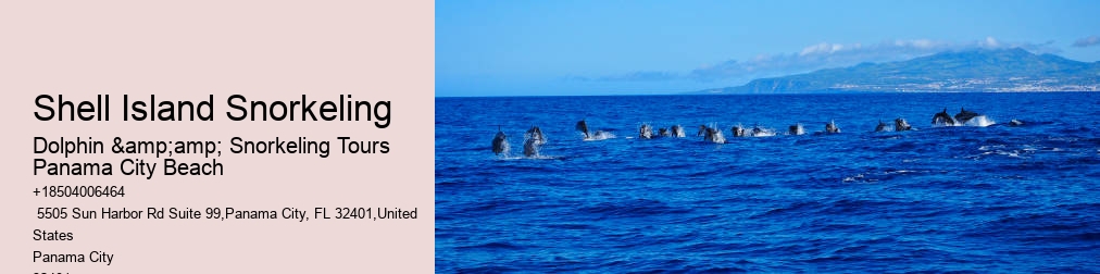 Snorkeling Tours Panama City Beach