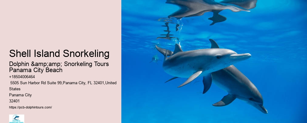 Panama City Beach Snorkeling Tour