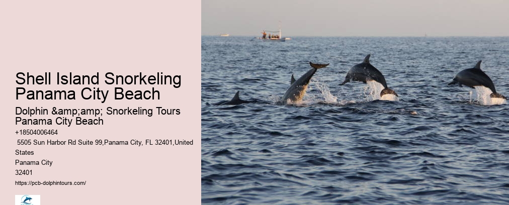 Panama City Beach Snorkeling Tours