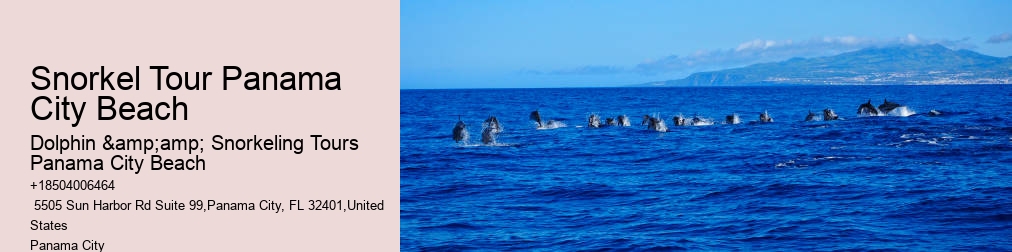 Snorkeling Trips Panama City Beach