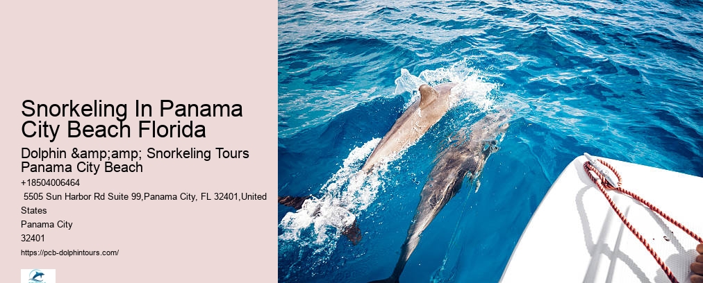 Panama City Beach Snorkeling Tours