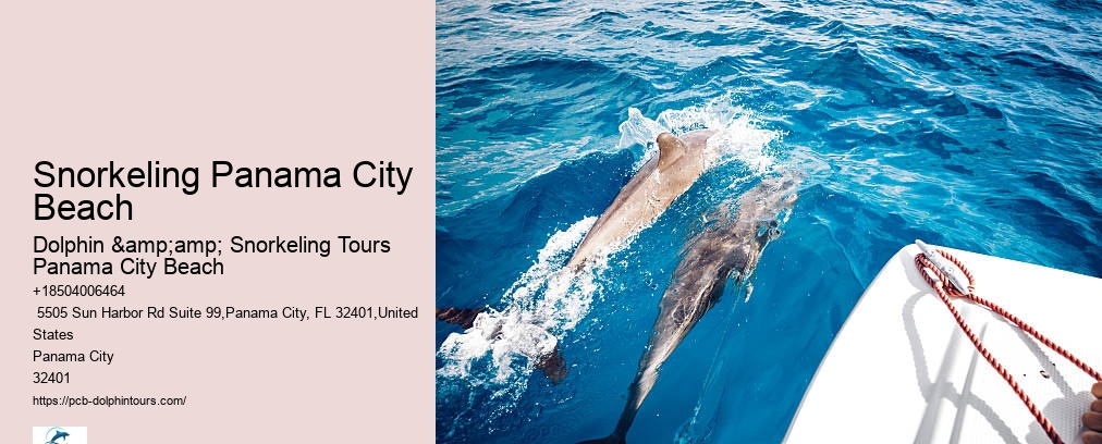 Panama City Beach Snorkeling Tours