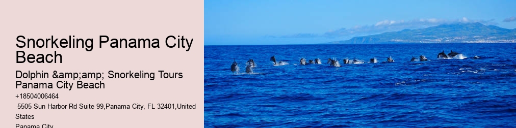 Dolphin & Snorkeling Tours Panama City Beach