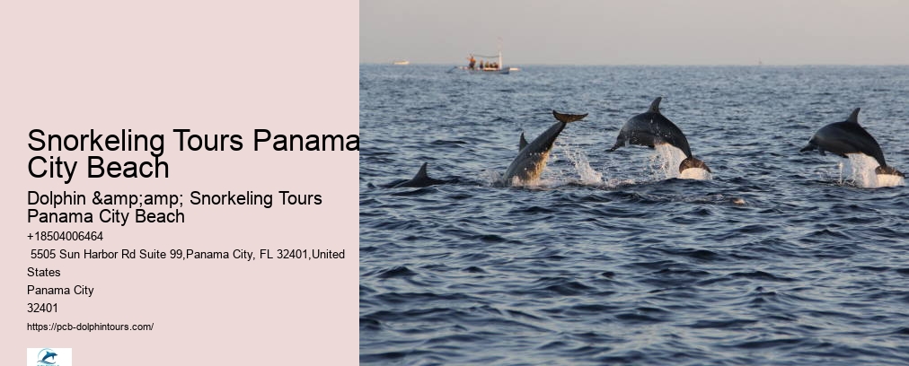 Panama City Beach Dolphin Tour With Snorkeling