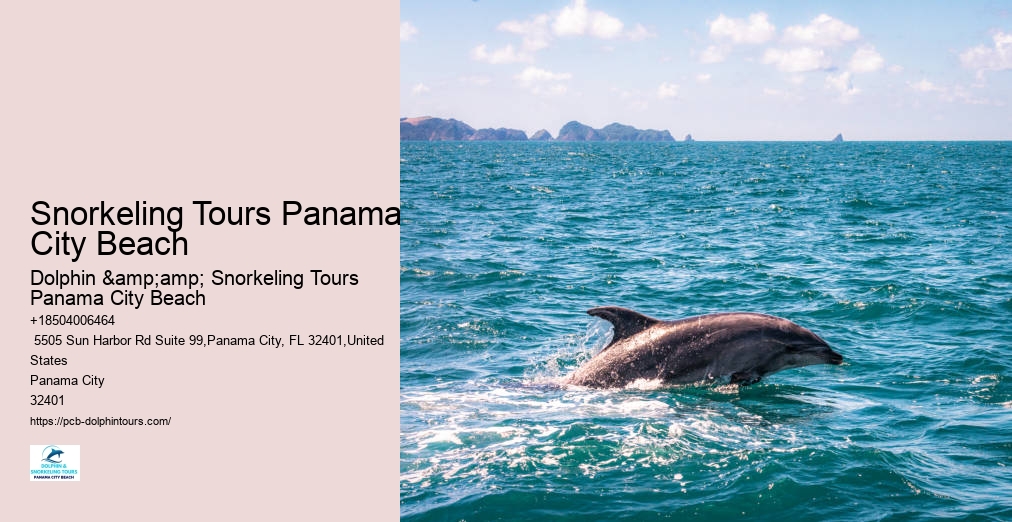 Panama City Beach Snorkeling Tour