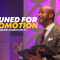 “Pruned For Promotion” 11-17-24