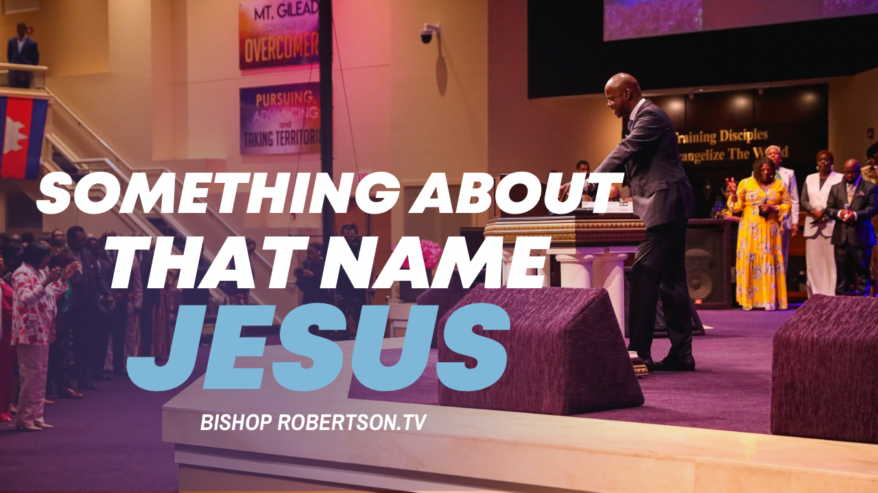 Video Image