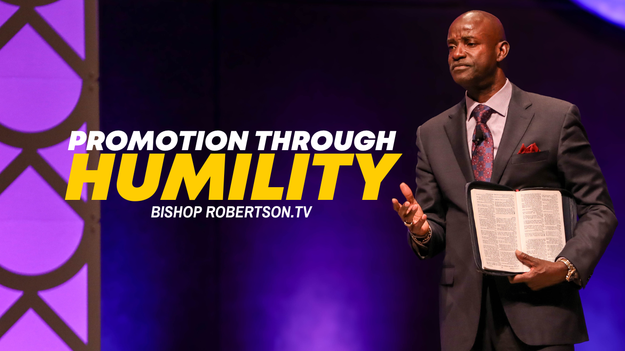 Video Image