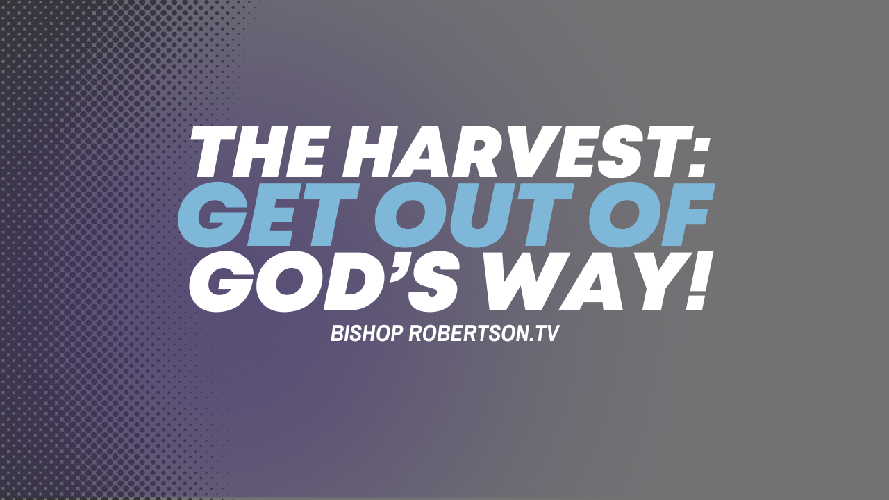Video Image