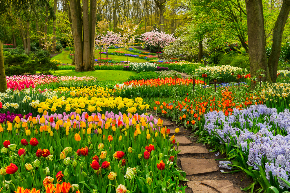 15 Sustainable Gardening Tips for an Eco-Friendly Garden