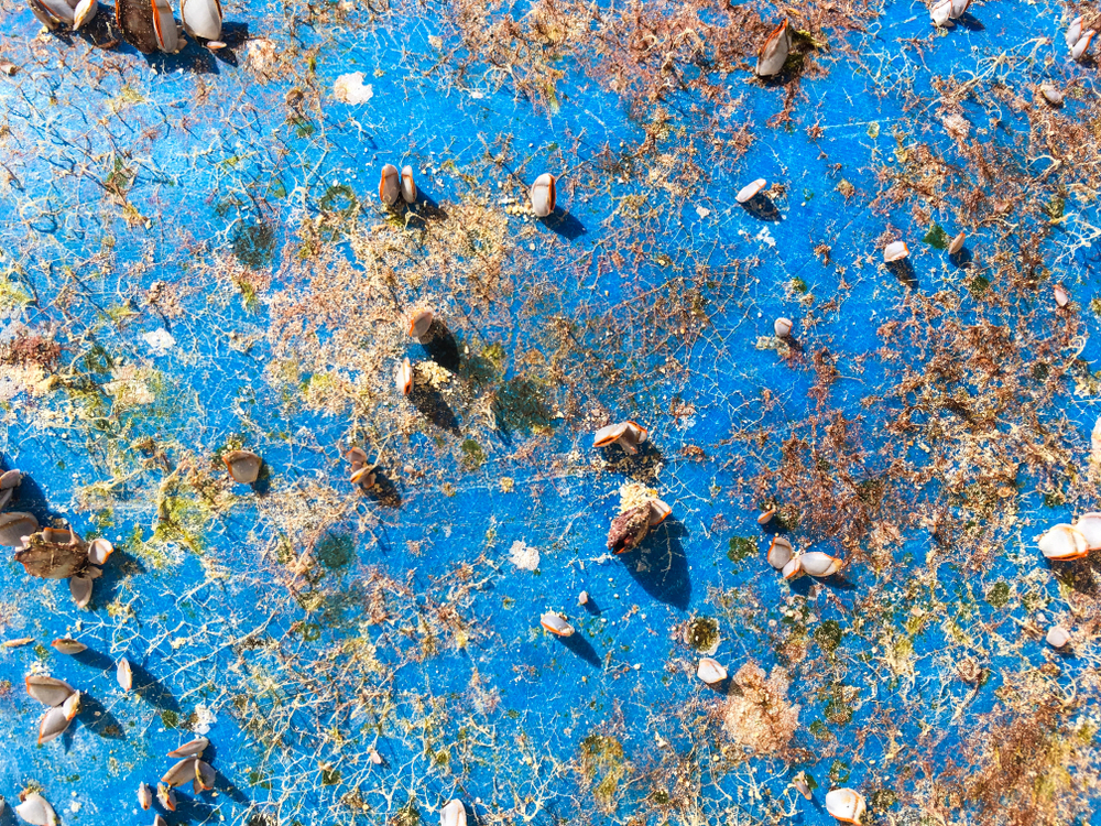 The Great Pacific Garbage Patch is Twice the Size of Texas