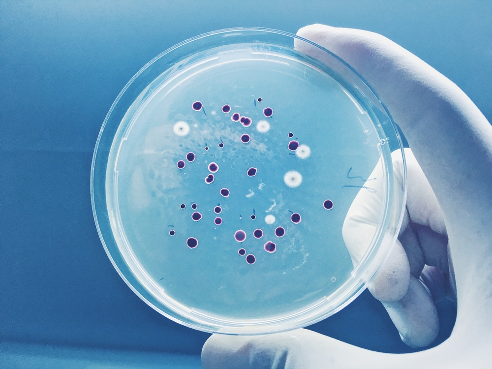 Revolutionizing Sustainable Plastics with Bacteria Innovation