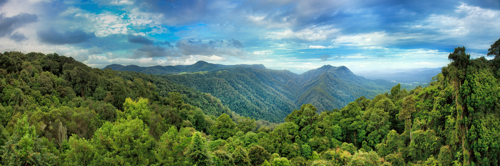 Urgent Action Needed to Reduce Methane Emissions Now