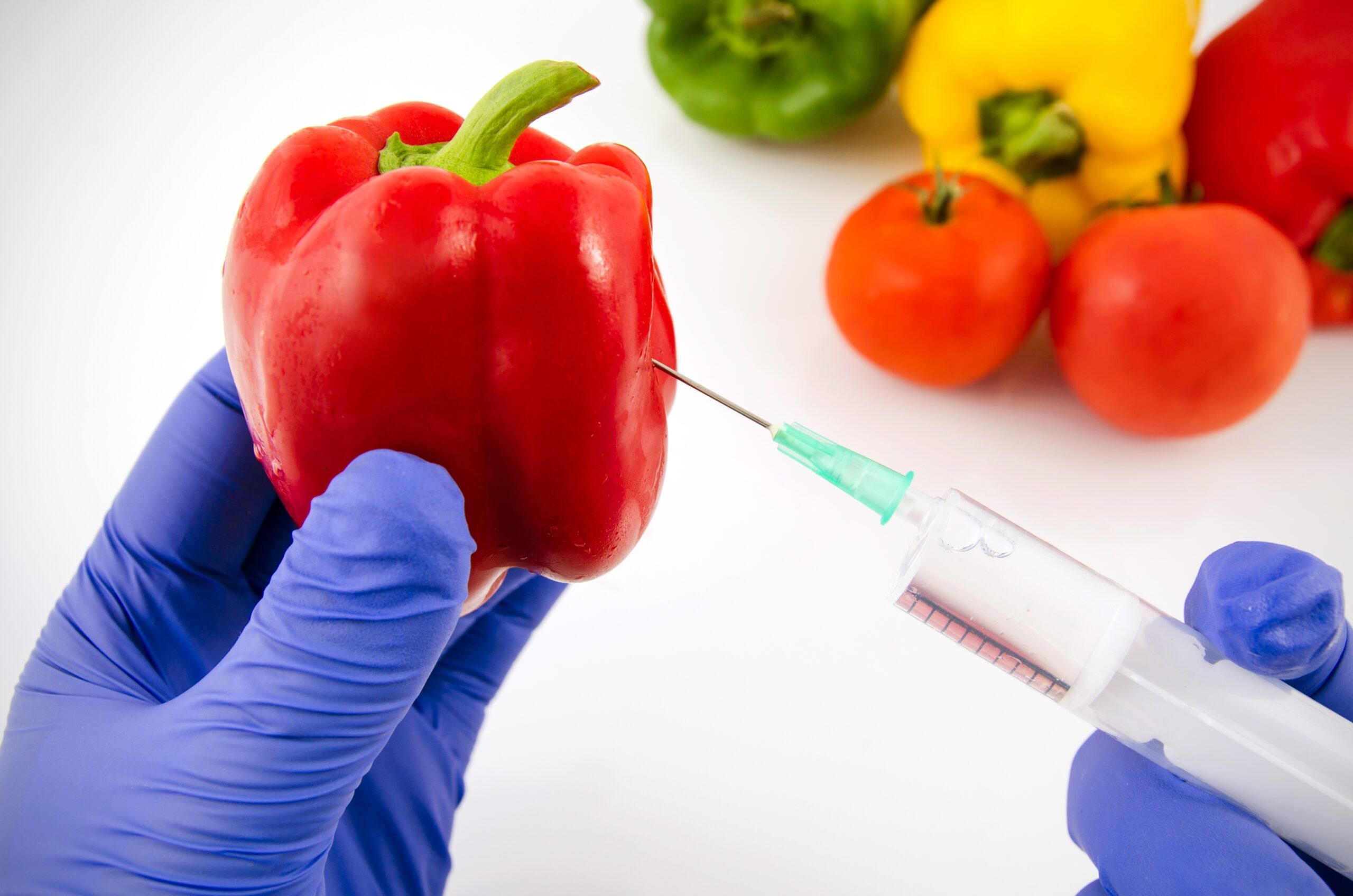 What does Bioengineered Food Ingredients Mean